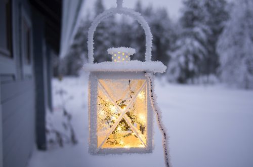 white pendant lamp hanging on ceiling outside of snow covered forest